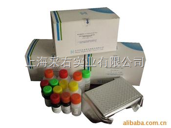 上海采右實業YS02445B-兔子白介素8(IL-8/CXCL8)Elisa試劑盒產品詳解